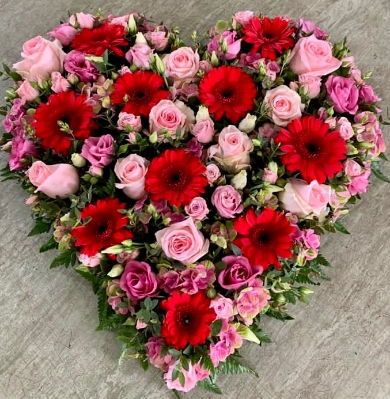 Loose Solid pink Rose and Gerbera Heart