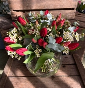 Beautiful Red Tulips